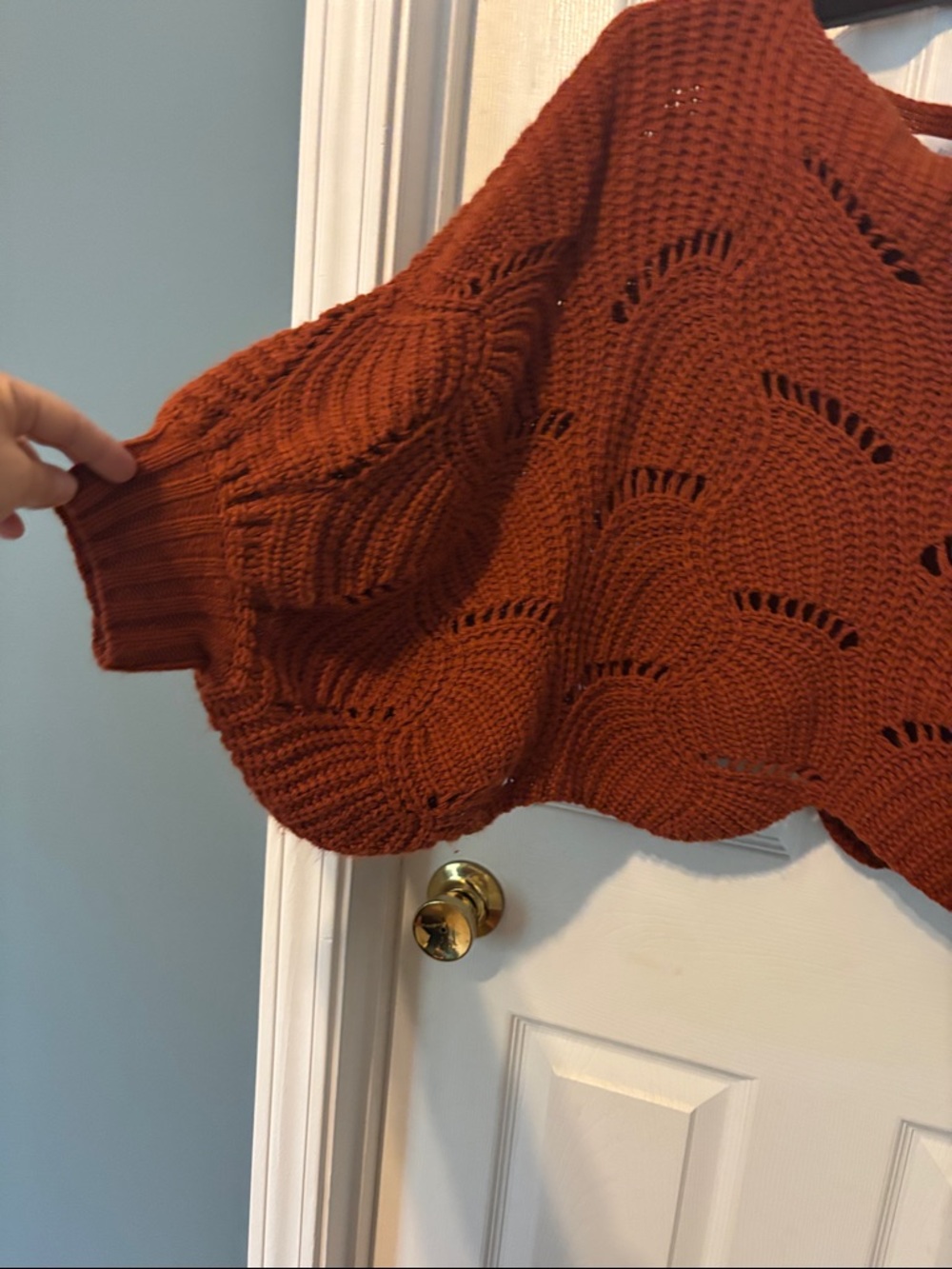 Rust Open-Knit Women's Sweater - Cozy Cropped Pullover - Picture 3 of 6